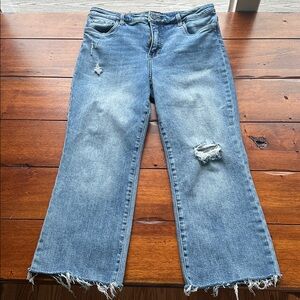 KUT Cropped Stretchy Jeans Distressed Size 12
